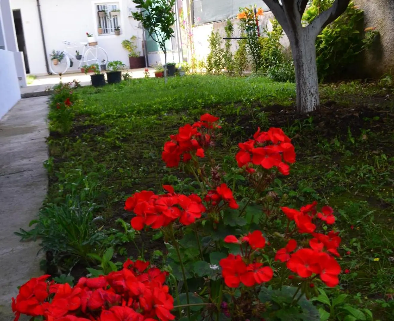 Accommodatie bij particulieren Rustic Tale Guesthouse