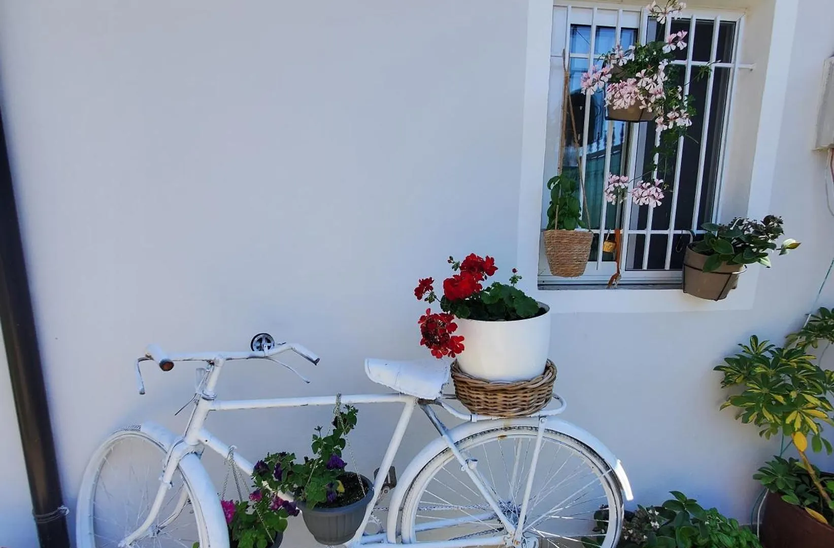 منزل للإقامة Rustic Tale Guesthouse ألبانيا
