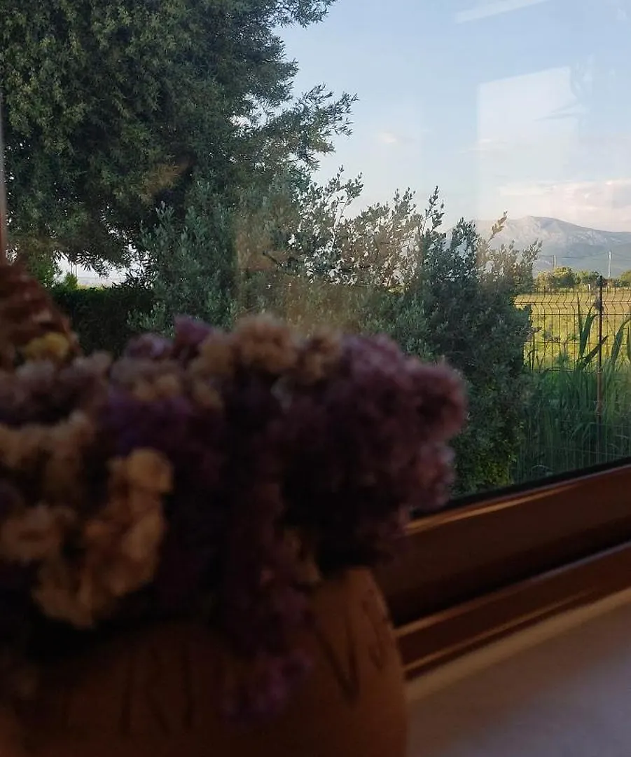 Rustic Tale Guesthouse Albanië